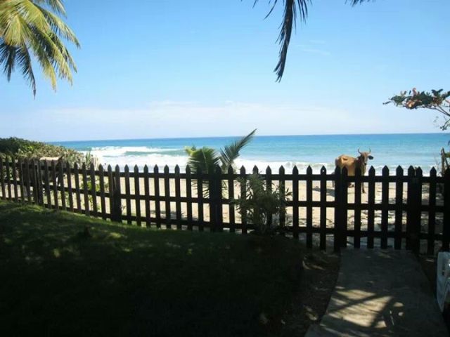 Whoa! What's that????!!!!